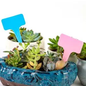 식물 화분이름표 100p/화분/이름표/네임텍/네임택/라벨/식물/플라스티/사각/다육이/미니/나무/세트/팻말