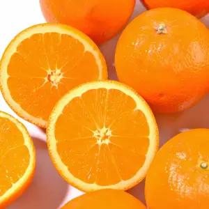 프리미엄 고당도 호주산 네이블 오렌지 20개 개당 200g 내외 중과