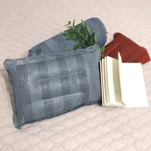 월드쇼핑 통풍 바이오메쉬 사계절 칩베개