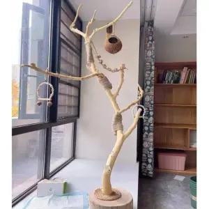 새놀이터 나뭇가지 앵무새 새장 나무 잉꼬 새장