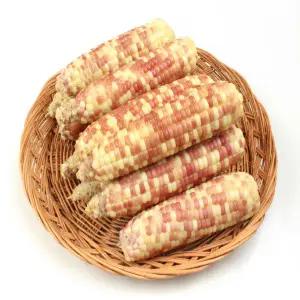 중국산 냉동 홍찰옥수수 특대 30개 (16~18cm)