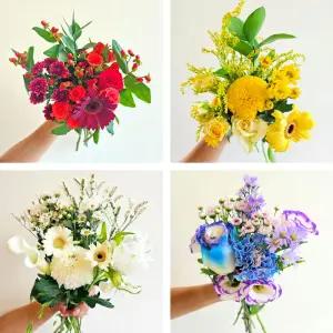 [꽃같은하루] 플로라 6컬러 생화 꽃다발 제철꽃 택배 꽃배달싼곳