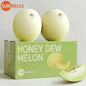캘리포니아 직수입 허니듀 멜론 특대과 1.8kg * 2과 선물세트