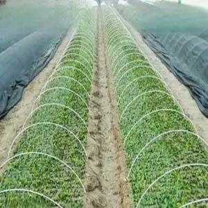 비닐 터널용 텃밭 하우스 활대 100개 소형 한랭사