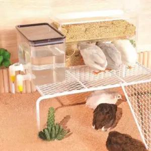 미니 메추리 키우기 사육장 병아리 모이통 사육통 급수대 육추기 부화기 케이지 세트