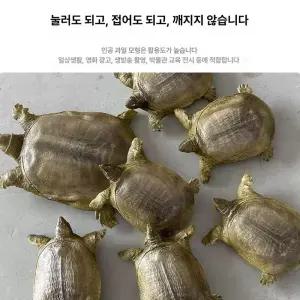 인테리어 자라모형 피규어 단품 행운