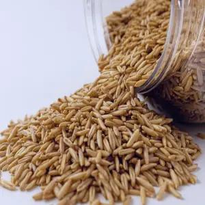 캐나다산 귀리 5kg 오트 잡곡-[정성든농수산]