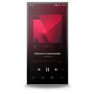 아스텔앤컨 Astell&Kern PD10 AK4498EX Quad-DAC DAP