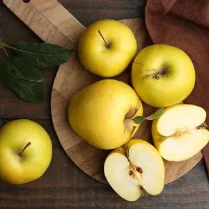 [딜픽]안동 시나노골드 사과 대과 12-16과 5kg내외 정품