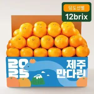 제주 서귀포 타이벡 감귤 4.5kg (로얄과 / 12Brix)