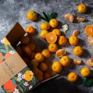 제주 서귀포 극조생 로얄과 타이벡 감귤 4.5kg (10Brix이상)