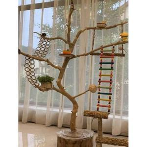 새놀이터 나무 횟대 사다리 스탠드 대형 조경 새장 잉꼬 애완용 그네 둥지 횃대 앵무새장