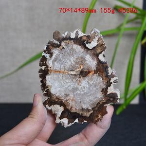마다가스카르의 자연 경관목 화석 조각은 옥화 고목을 수집하여 감상하면 컵 받침으로 사용 있다
