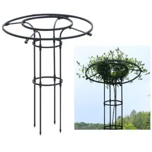 넝쿨식물지지대 능소화 오벨리스크 넝쿨 원예 덩쿨 스탠드 포도