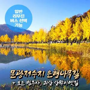 [충북] 괴산 문광저수지 은행나무길+산막이옛길+법주사 가을단풍 당일여행 (일반/리무진버스) / 서울경기出