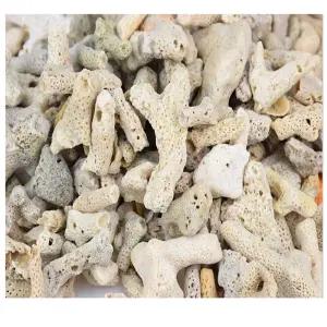 산호사 수족관 뼈산호 칼슘보충 소라게 어항