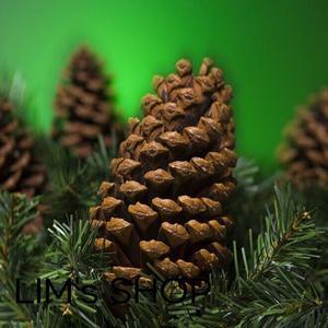 35인치 5인치 천연 대형 솔방울 크리스마스 장 큰 겨울  손목띠 다색