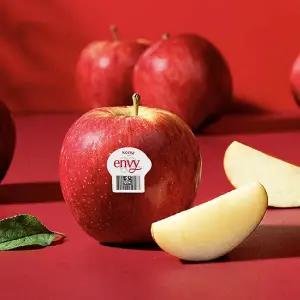 [10/31 순차출고]엔비사과 중소과 3kg 13-14과 팬시(가정용)