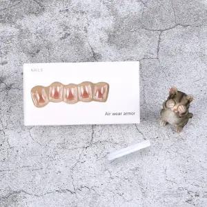 붙이는 네일팁 R350