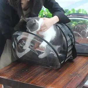 이동가방 블랙 여행용 투명케리어 대형 애견가방