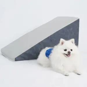 강아지 데이지 슬라이드 대형 1P 논슬립 스텝 계단 (WE04F19)