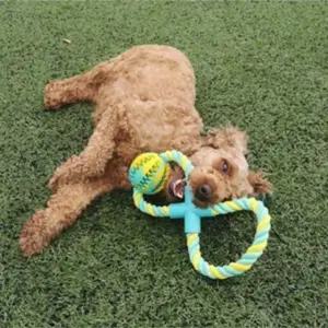 강아지 놀이 로프 장난감 팔자형 터그 애견 (WFK8PBG)