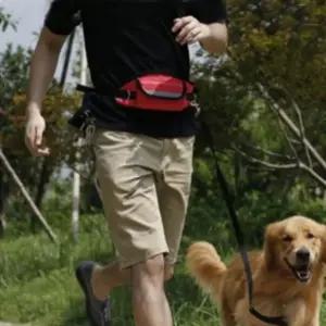 애완견 산책용 힙색 간식 수납 주머니 강아지 배변용품 (WFK8PB8)