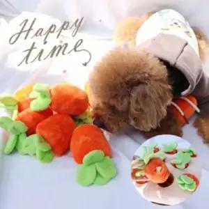 코코아허니 당근밭 장난감 강아지 두뇌 자극 (WFK8PW7)