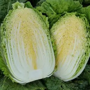 해남 절임배추 20kg 20KG 해남절임배추 전라도