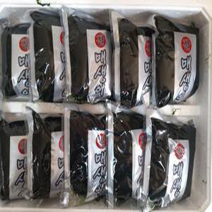 2025 생물 매생이 약350g∼400g 10재기 [제대로자란찰매생이]