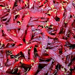 2025년산 햇건고추 농민이 직접 재배한  청송 건고추 600g 1근 세척고추