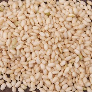 현미찹쌀4kg 찰현미 24년산 햅찰현미