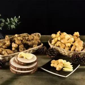 황생원 2025년 햇 세척생강 1 kg