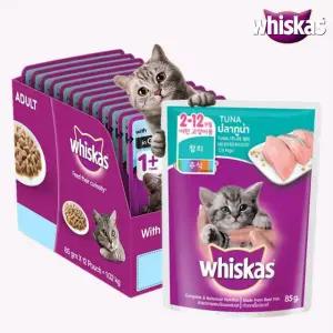 위스카스 파우치 주니어 참치(80g)×24개