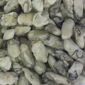 냉동굴5kg~10kg/냉동식품