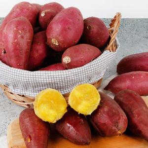 해남 화산 세척 밤고구마 꿀고구마 특상 5kg