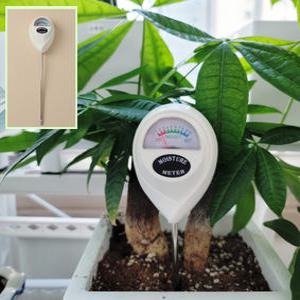 반려식물 물주기/토양 수분측정기/홈가드닝