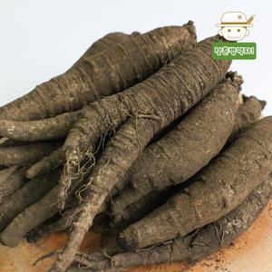 [삼촌밥먹자]제주 화산토에서 자란 아삭하고 달콤한 검은 흙더덕(중) 1kg