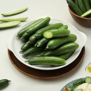 수분 가득 아삭한 GAP 미니 스낵오이 2kg(35-40개)