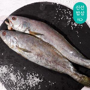 [품질보장] 국내 자연산 제철 보양식 여수 반건조 통민어 미당 240g 이상 5미,10미