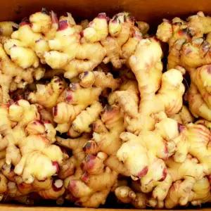 에어 세척생강 10kg 국내산 봉화/안동/영주 햇 생강