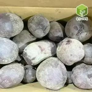 국내산 레드비트 10kg