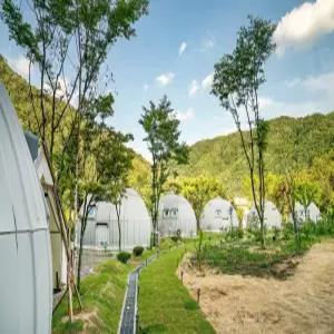 [경기 펜션] 양평 에코이글루글램핑(열대식물원) (양평)