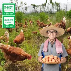 난각번호 1번 유정란 20구 자연방목 동물복지 무항생제  프리미엄 달걀