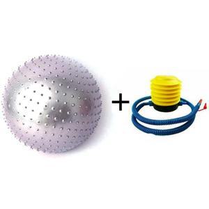 [NS홈쇼핑]지압 마사지 짐볼 펌프 포함 세트 돌기  실내[30469678]