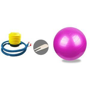 [NS홈쇼핑]보급 마사지 짐볼 펌프 포함 세트  실내 스트레칭[30469936]
