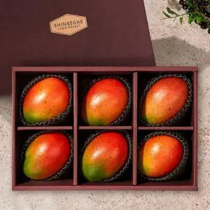 [베어프루트] [항공직송] 프레시 애플망고 선물세트 (6입/2.6kg 내외)(신세계백화점 보자기 증정)