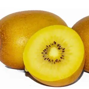 국내산 골드키위 2kg (31과내외) 전라도 참다래