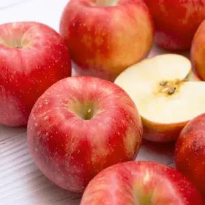 경북 홍로사과 가정용 10kg 대과(26-35)