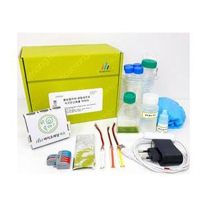 클로렐라의 광합성으로 지구온난화를 막아라 (5인KIT)